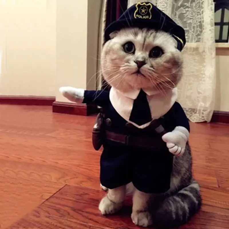 Funny Pet Costumes and Apparel for Pets